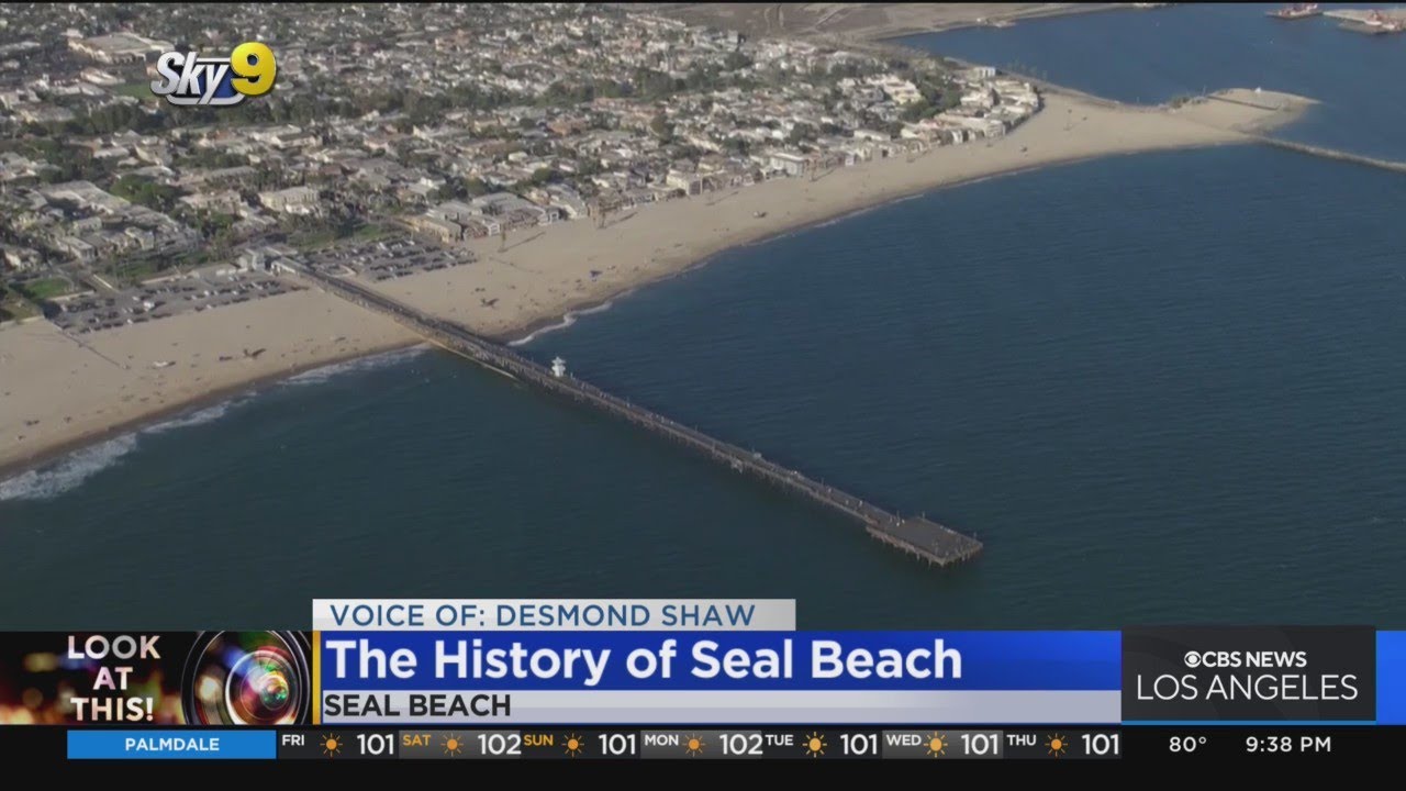 Look At This: Seal Beach