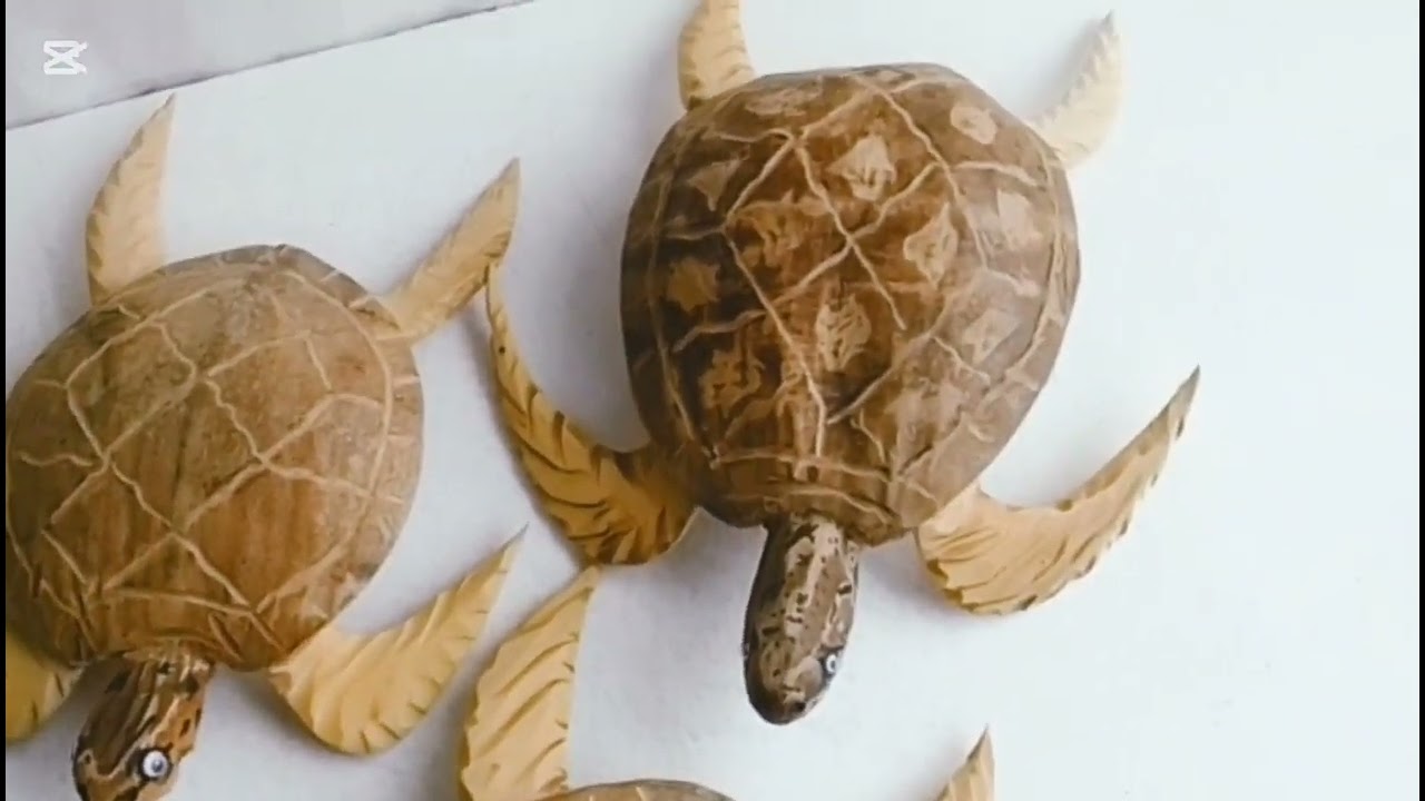 අලුත්ම පොල්ගෙඩි කැස්බෑවන් 🐢 | පොල් ගෙඩියේ විස්කම 🥰😲 coconut turtles 