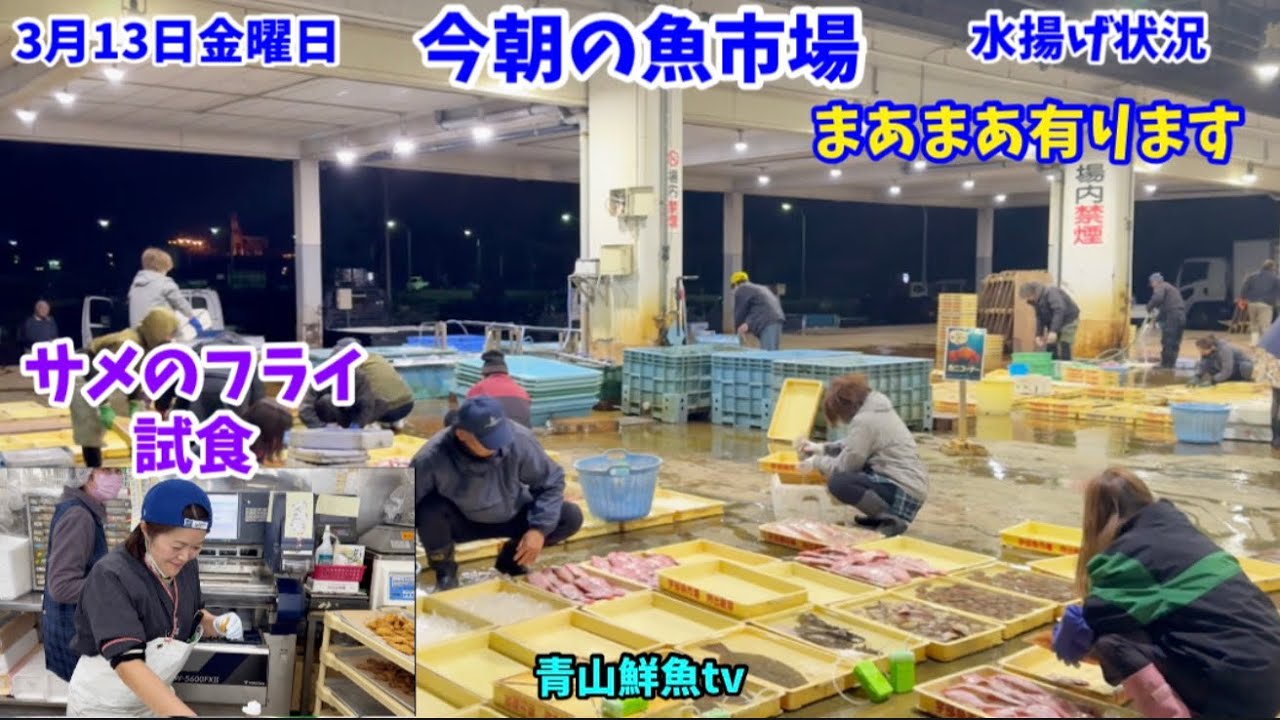 【まあまあ】今朝の魚市場3月13日金曜日の水揚げ状況