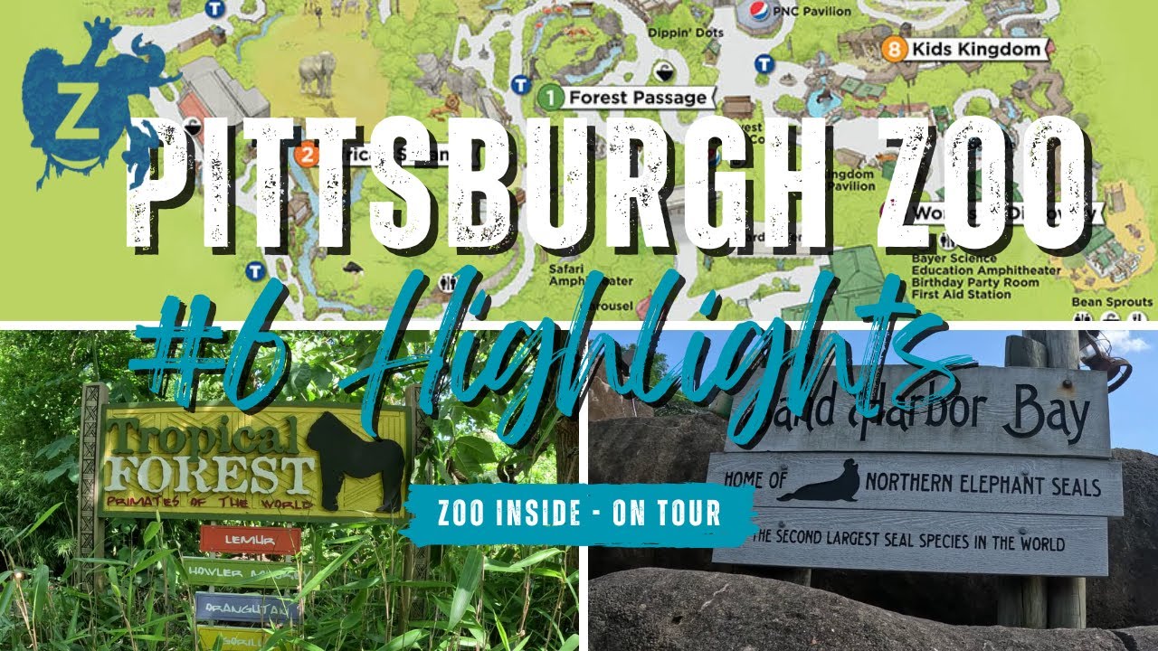 Pittsburgh Zoo - Onze 6 Highlights