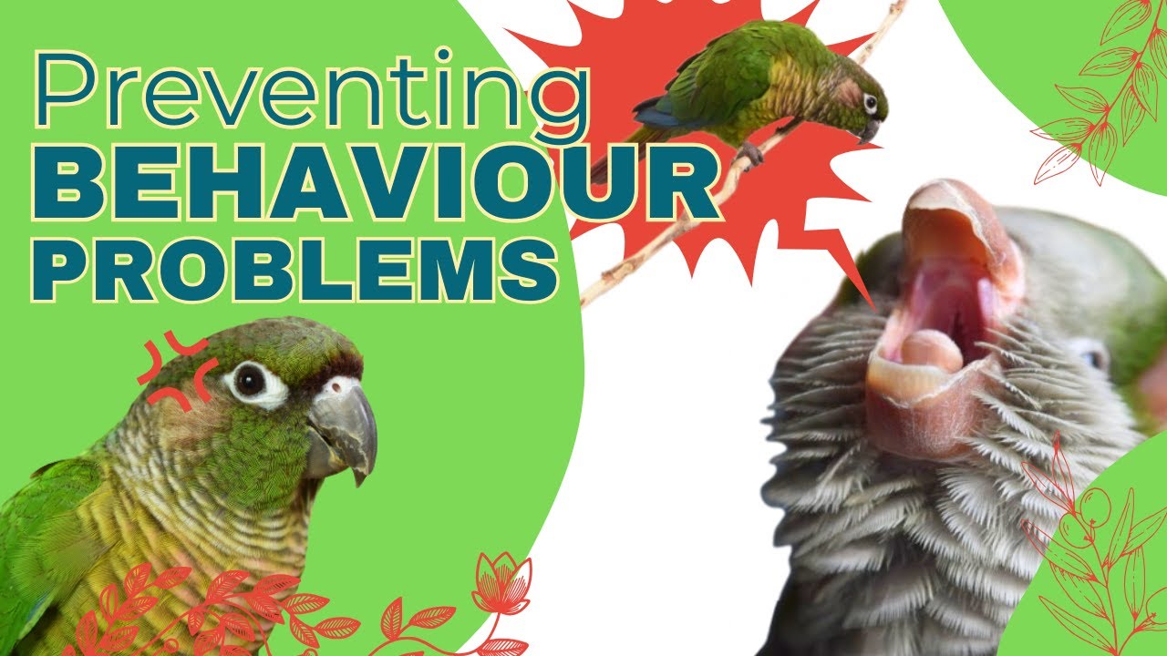 Preventing Behaviour Problems | Topics