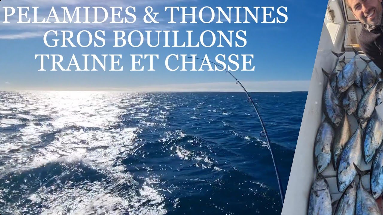 PELAMIDE, THONINE: d&eacute;part en direct, p&ecirc;che mer en tra&icirc;ne et sur chasse