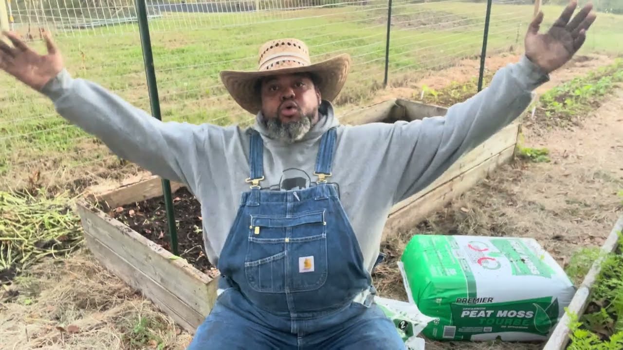 The Garlic Planting Trick No One Told Me About