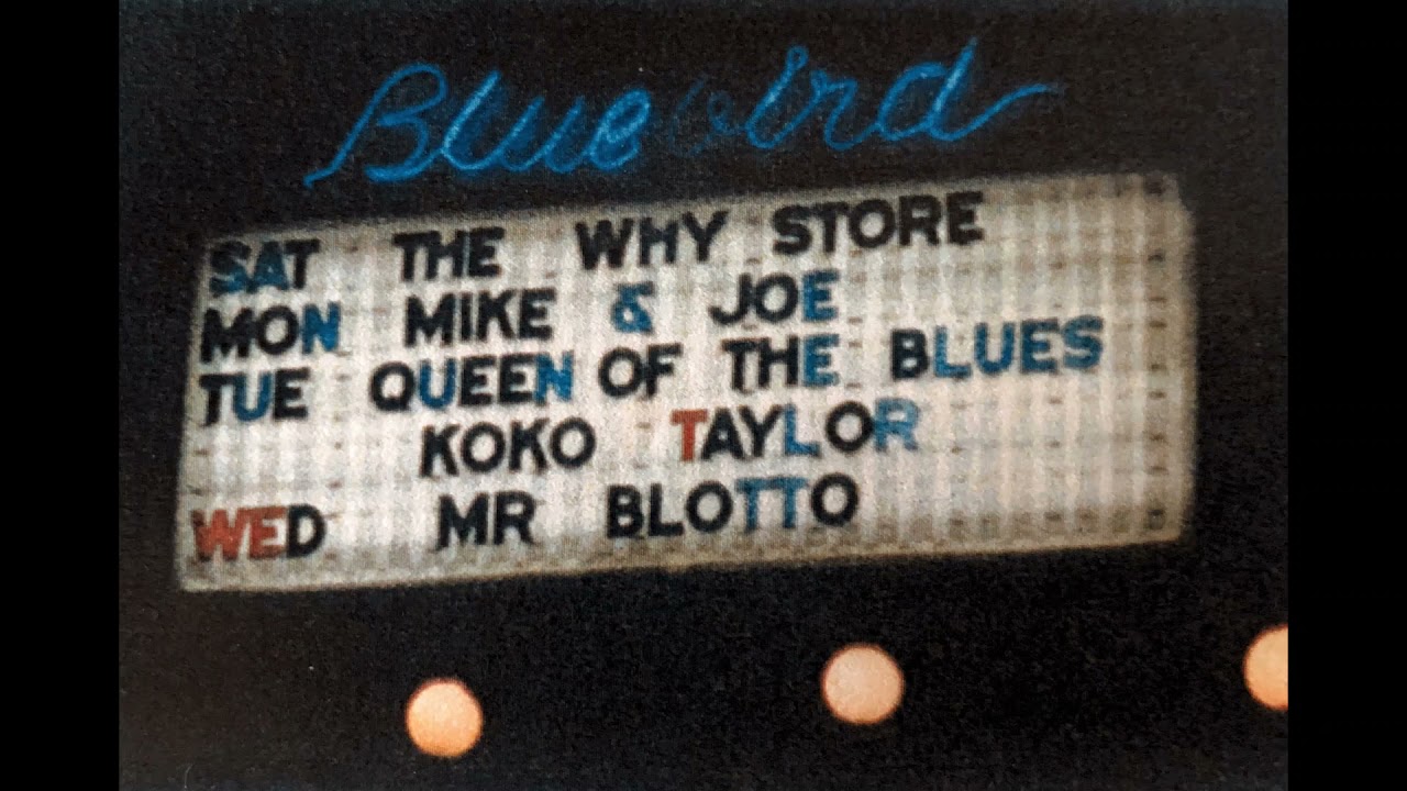 The Why Store - 4/8/95 - Bluebird, Bloomington, IN - audio only