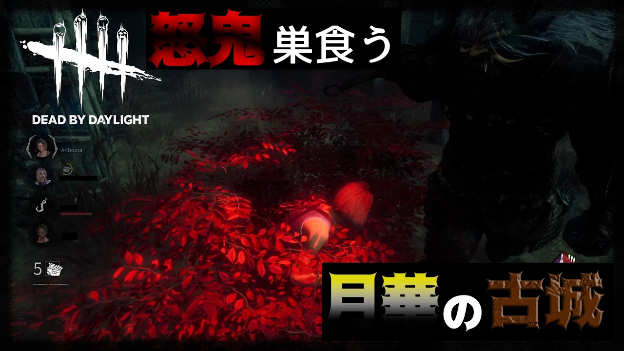 [DBD]