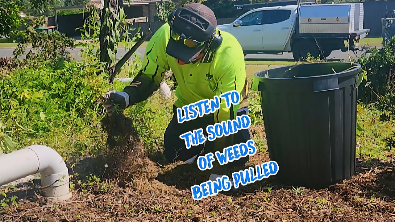 She Told Her Real Estate Agent She Wouldn't Do The Backyard Due To Its Steepness #asmr 