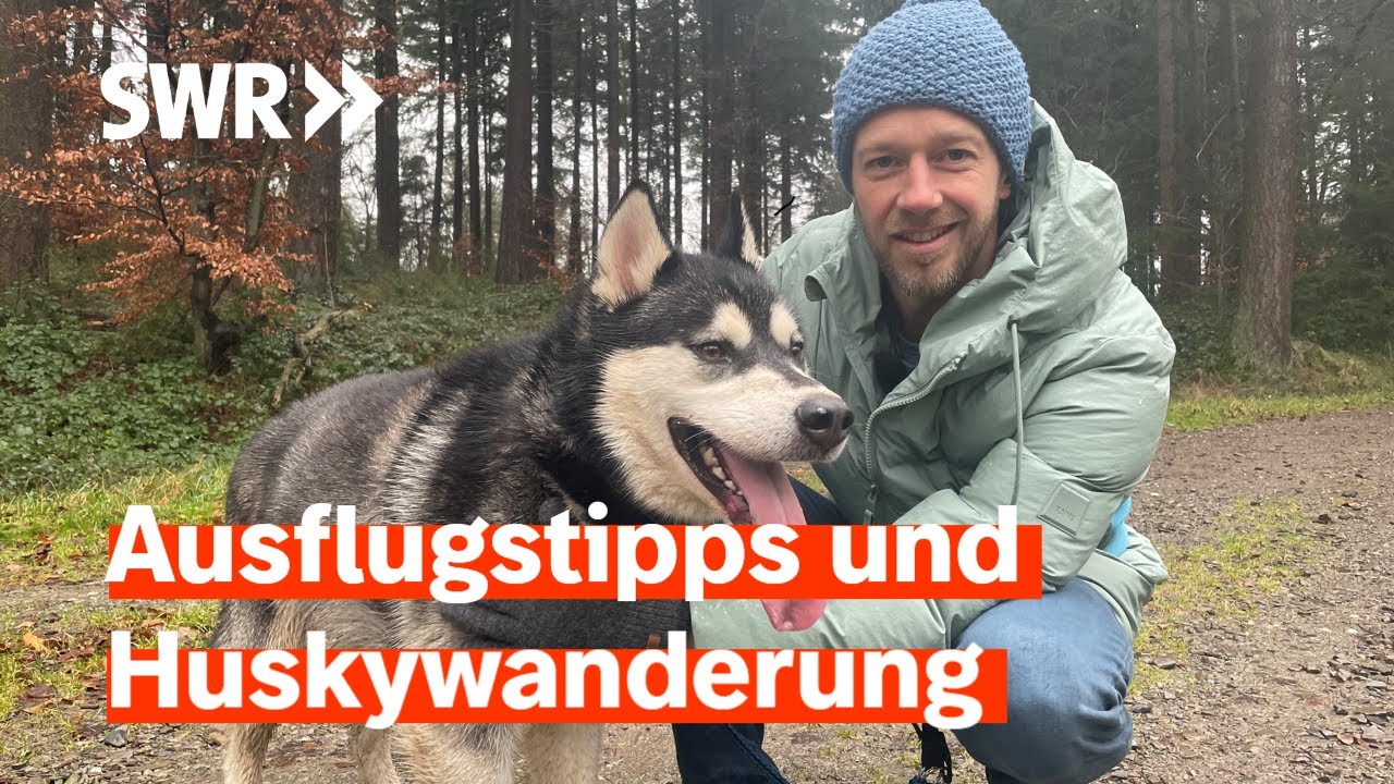 Ausflugstipps fürs neue Jahr: Husky Wanderung, Mandelblüte und Spargel genießen | SWR Treffpunkt