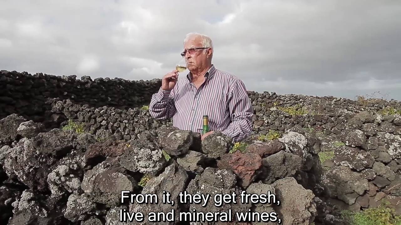 Vinhos dos Açores