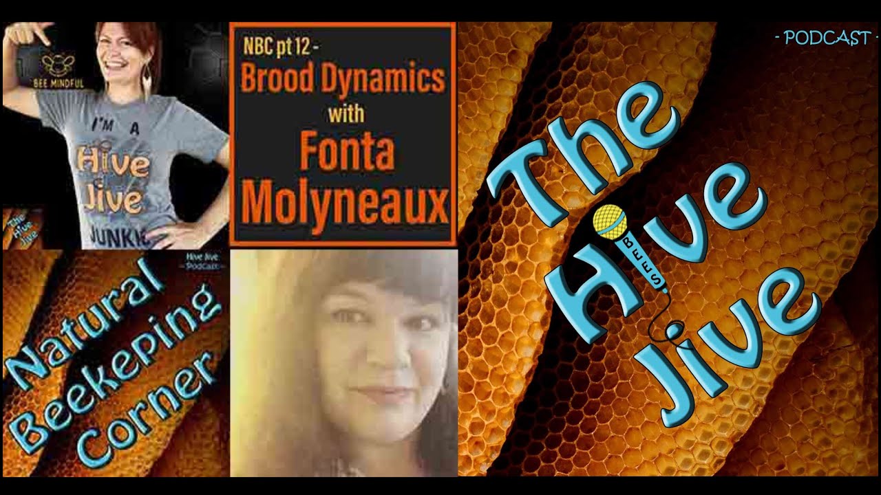 Brood Dynamics with Fonta Molyneaux