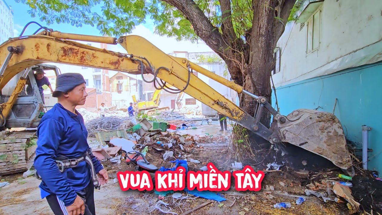 Vua Khỉ cưa Cây Lim Xẹt Siêu To ở Sài Gòn có nhánh đưa ra lộ (Phần 1/2)...