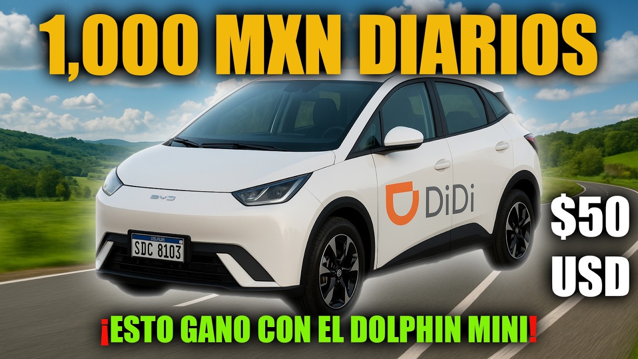 Probé el Dolphin Mini en DiDi: ¿Es rentable? Así genero $1,000 pesos por día