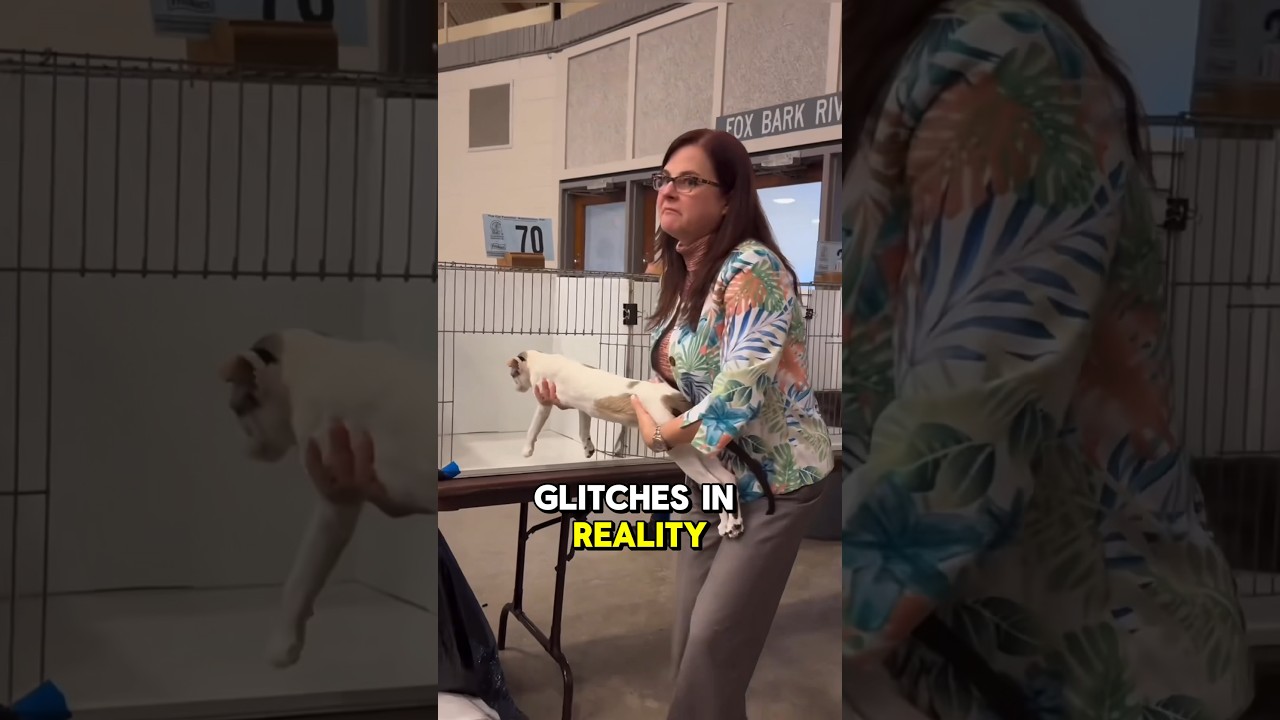Glitches In Reality That Prove We Live In A Simulation 🤯 #glitchinthematrix #strange #scary