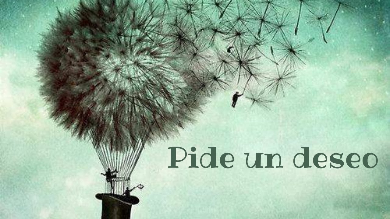 Empieza tu d&iacute;a agradeciendo 👼🙏 | Reflexi&oacute;n para tu alma &ndash; Alma Amare