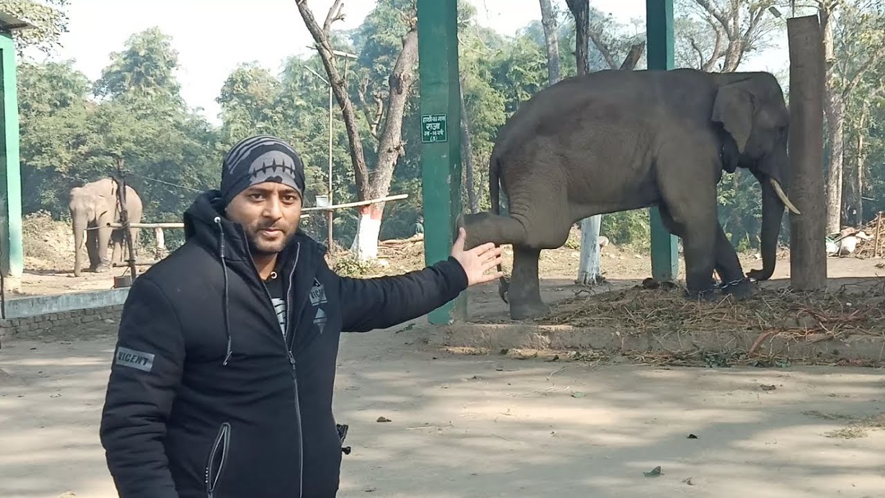 Valmiki Nagar | Tour Part -1 | Valmiki Tiger Reserve | Bihar