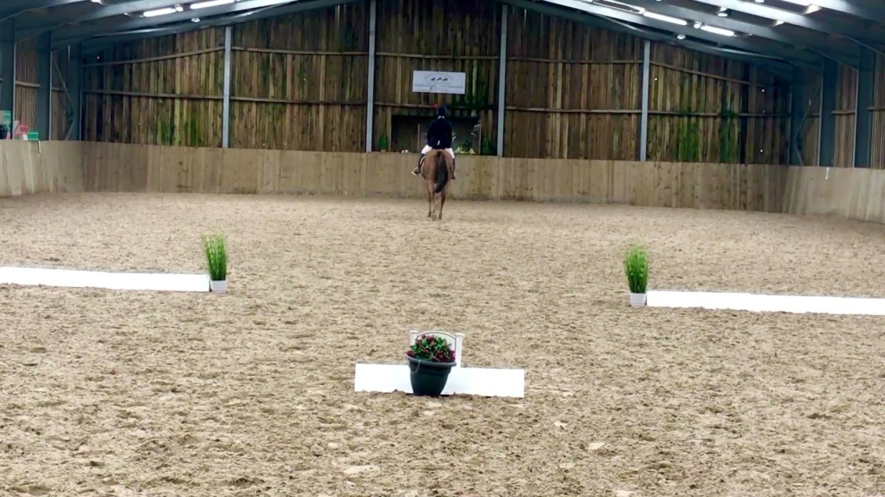 Intro C Dressage Test - 75.22%