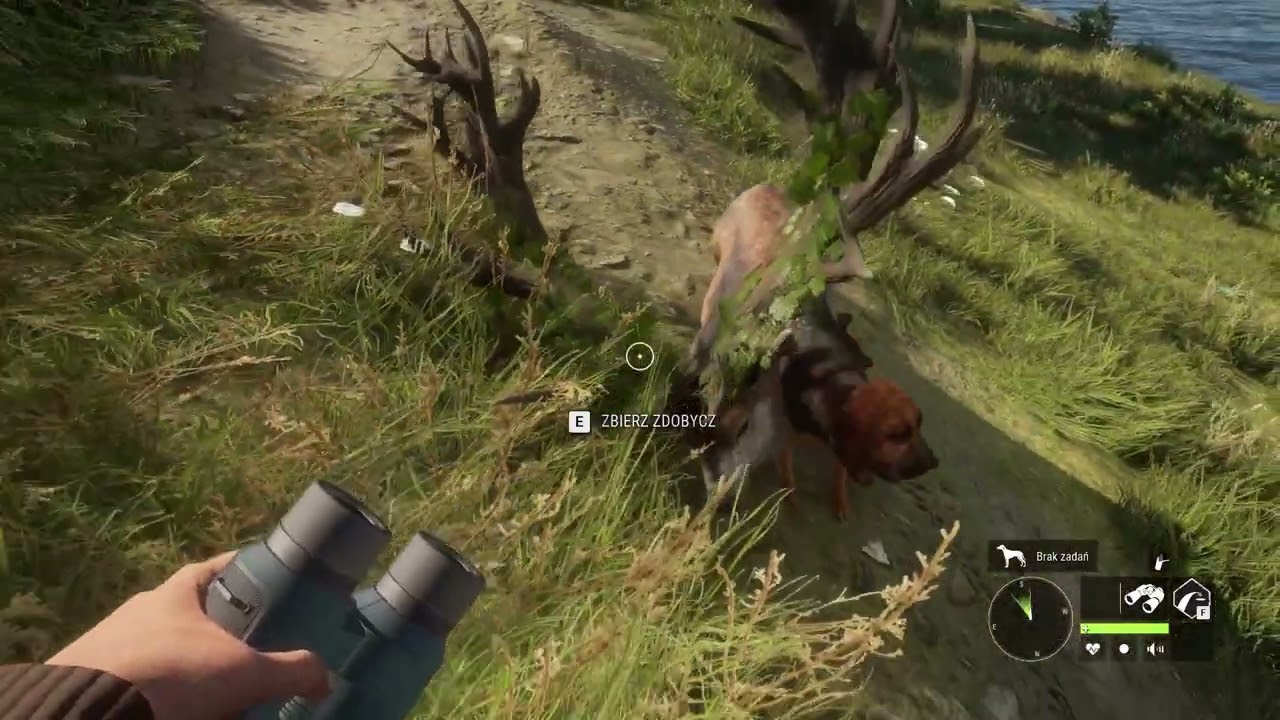 theHunter:Call of the Wild Great One (Wielki Okaz) Jelenia Szlachetnego 😁