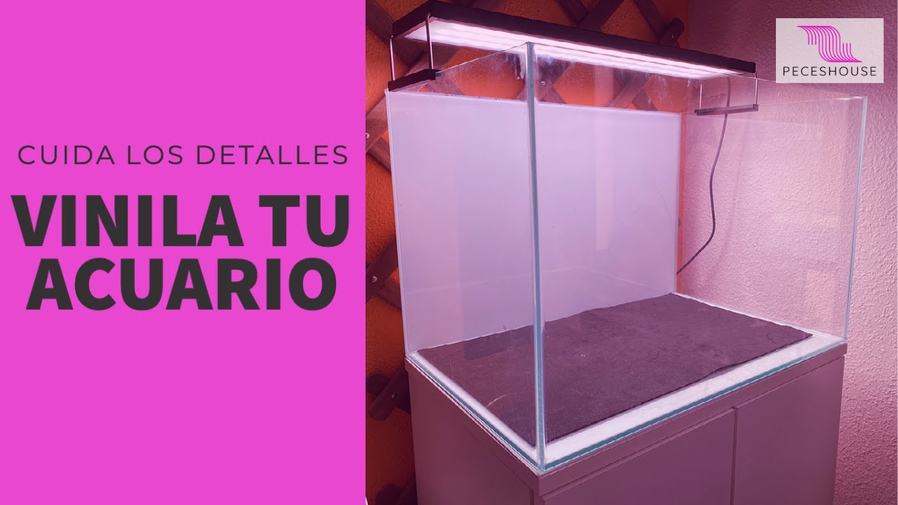 CÓMO VINILAR ACUARIO Y PROTEGER LOS CRISTALES