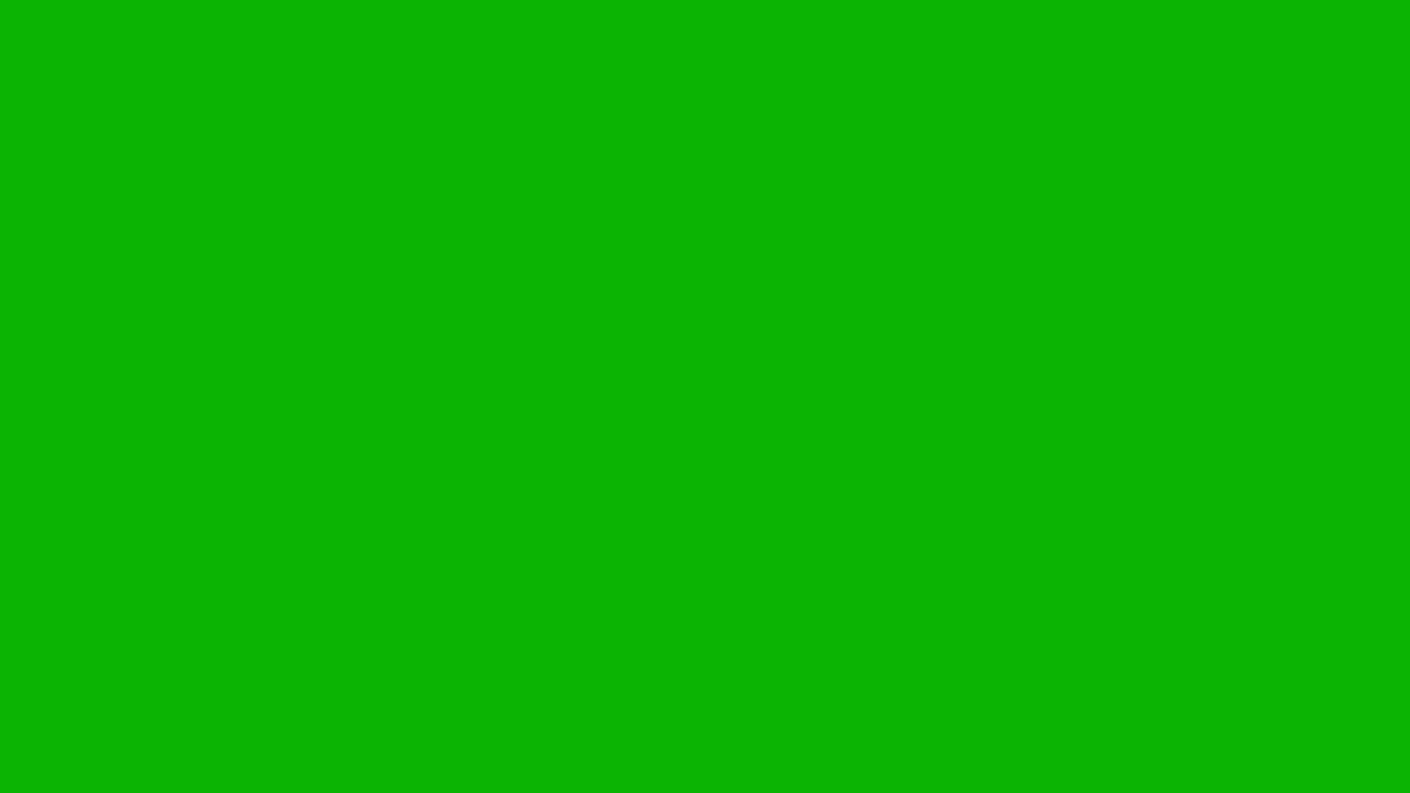 12 HORAS DE COLOR VERDe