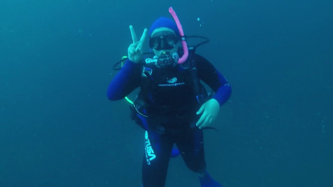 BUCEO ISLA GORGONA TIBURÓN BALLENA