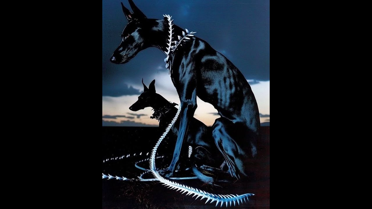 &deg;Free&deg; Crystal Castles Type Beat 