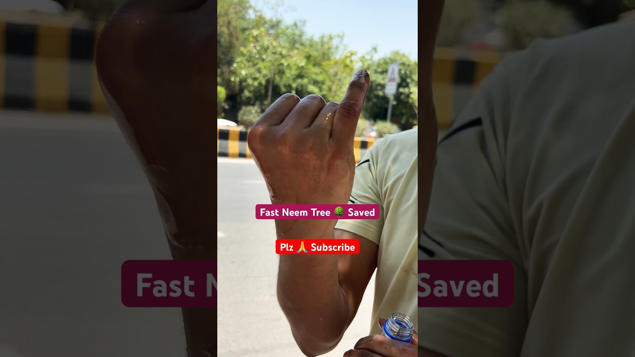 Fast Neem Tree 🌳 Saved |  aao ped 🌳 bachaye | ped lagaye | ped se pyar kare | #savetrees #tree