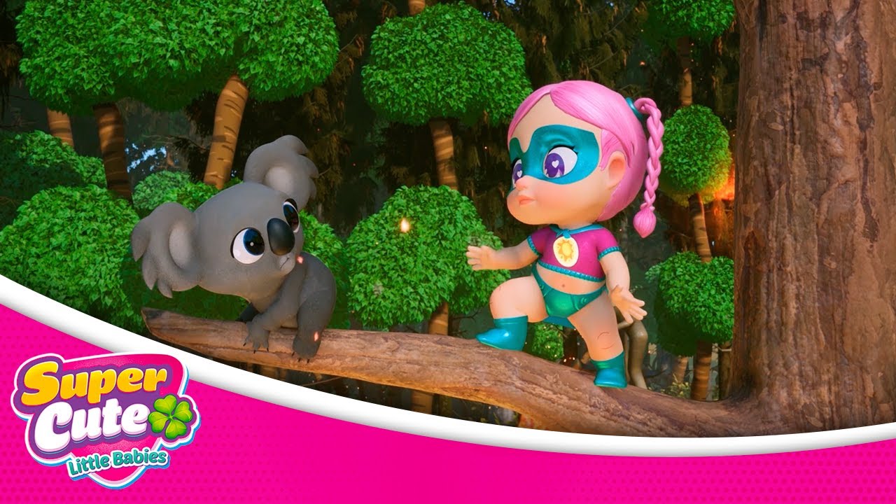 SUPERCUTE LITTLE BABIES en ESPAÑOL - El Koala sin casa 🐨 [1x2] 🍀🍼 | DIBUJOS ANIMADOS