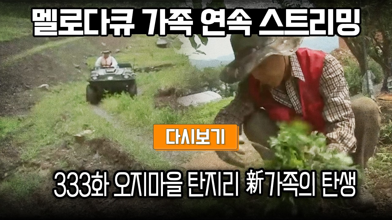 [LIVE] OBS 다시 보는 멜로다큐 가족 333화 오지마을 탄지리 가족의 탄생 (풀영상)