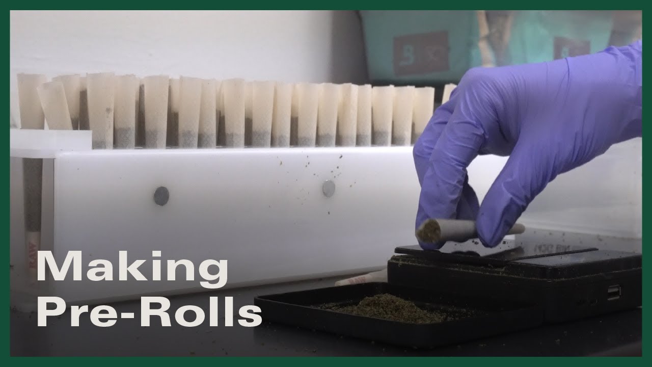Making Pre-Rolls | Hemp Generation