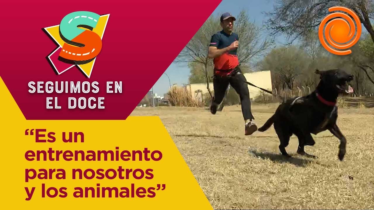 ¡Aprendemos a practicar Canicross!