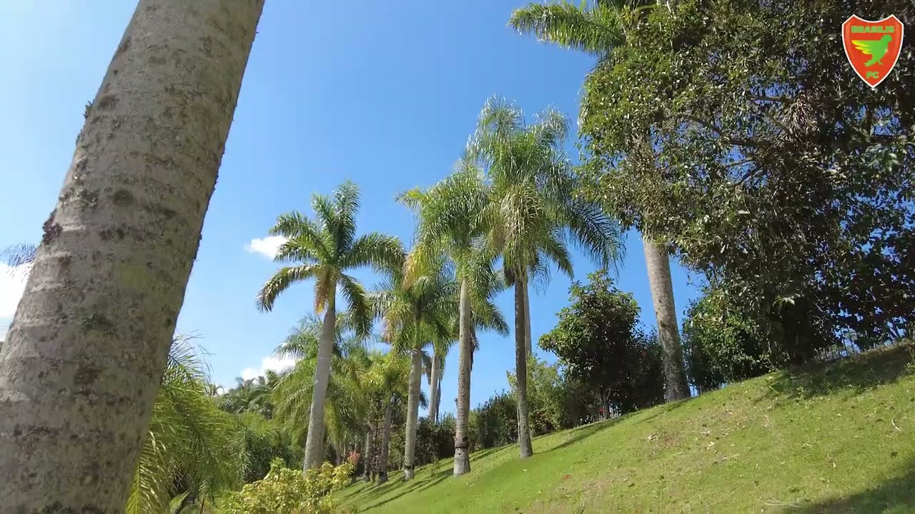 CT BRASILIS F.C. - &Aacute;GUAS DE LIND&Oacute;IA/SP, DIVISA COM MINAS GERAIS