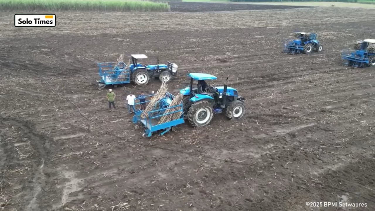 Wapres Gibran Panen & Tanam Tebu Bareng Petani Tebu di Banyuwangi.