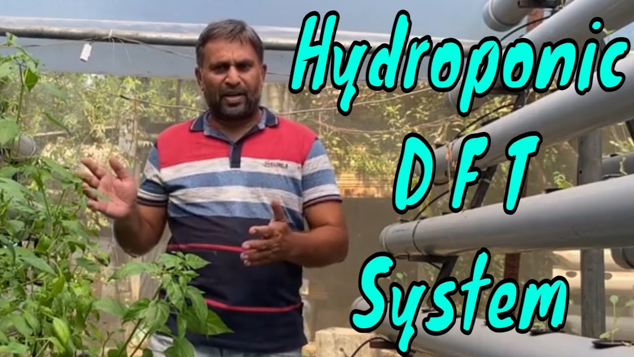 What is D.F.T. Hydroponic System? // D.F.T System Explained // Working & Benifit of Growing in DFT