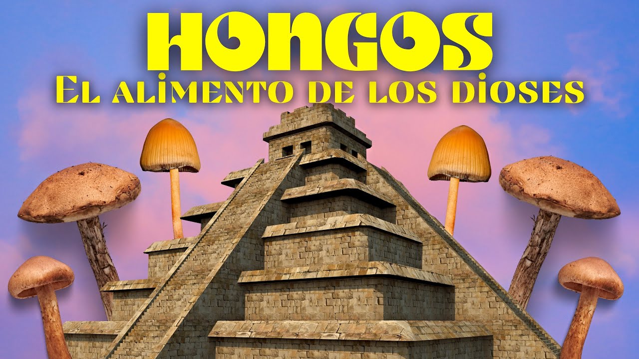 Psilocybe Mexicana: El hongo que permite ver el futuro