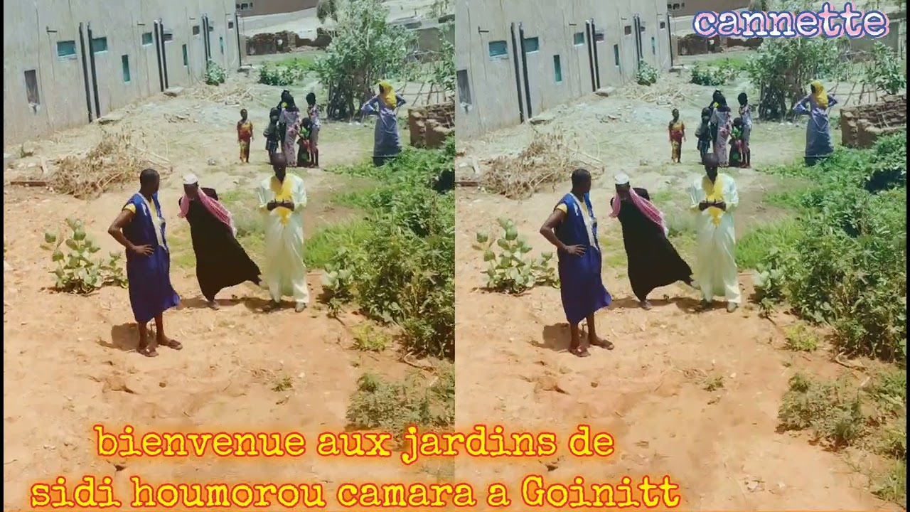bienvenue aux jardins de sidi Houmorou Camara a Goinitt