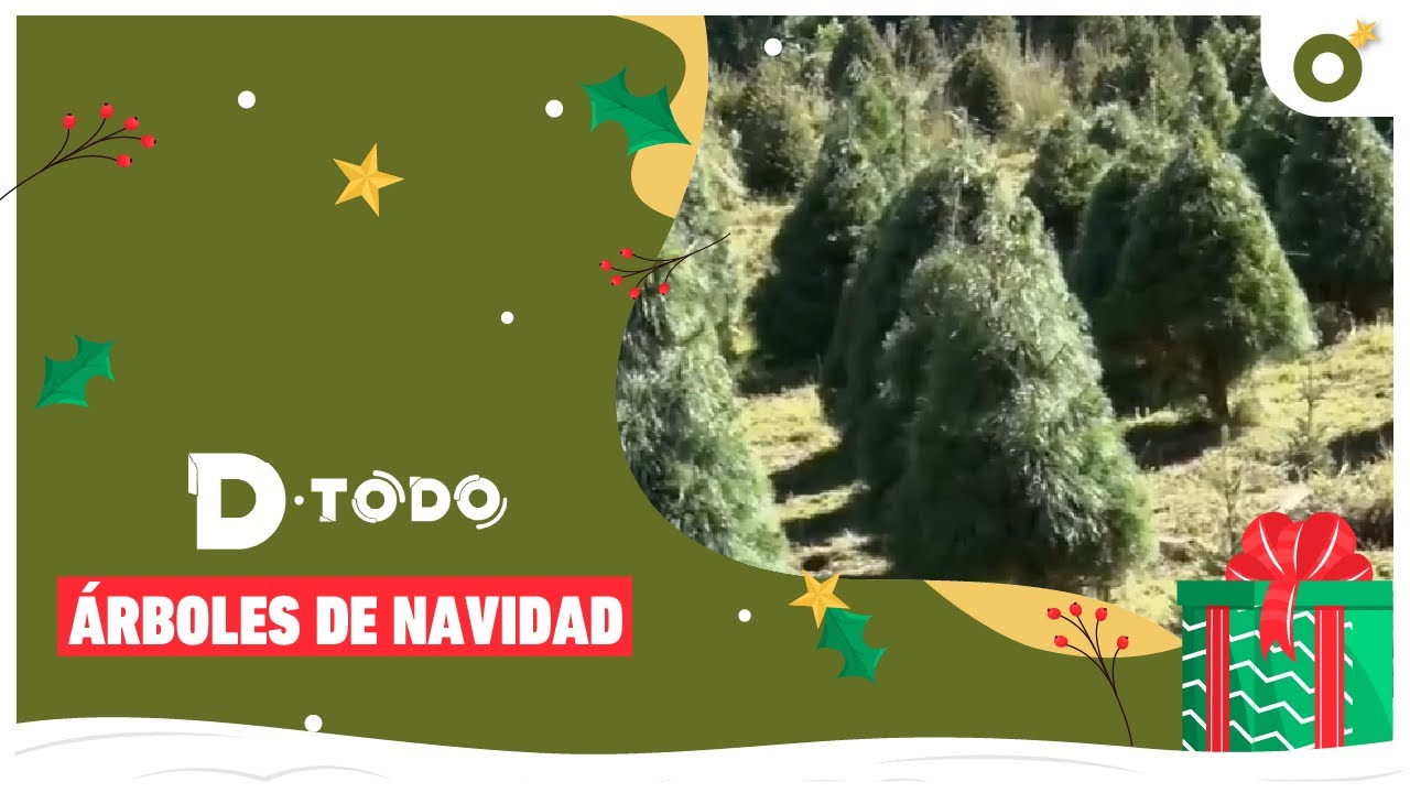 D Todo - Árboles de Navidad (20/12/2022)