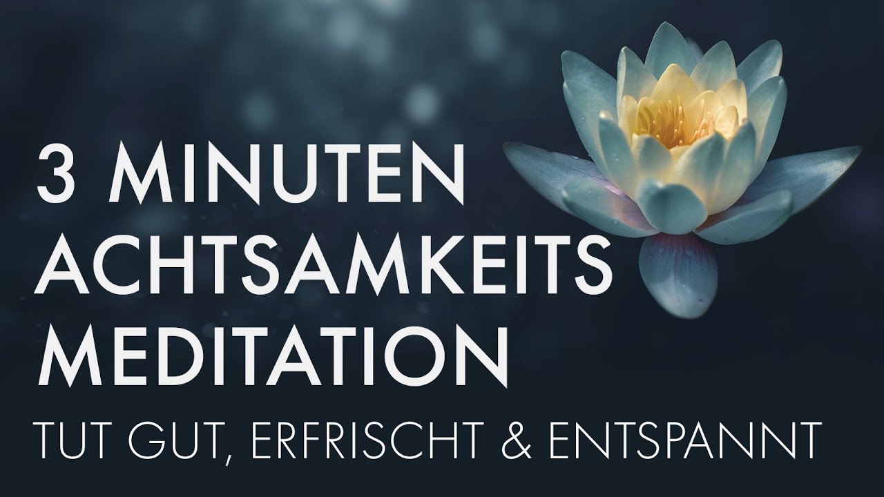 3 Minuten Mini Meditation | Perfekt f&uuml;r eine kleine Pause 😌🌿| Stress reduzieren & Entspannen