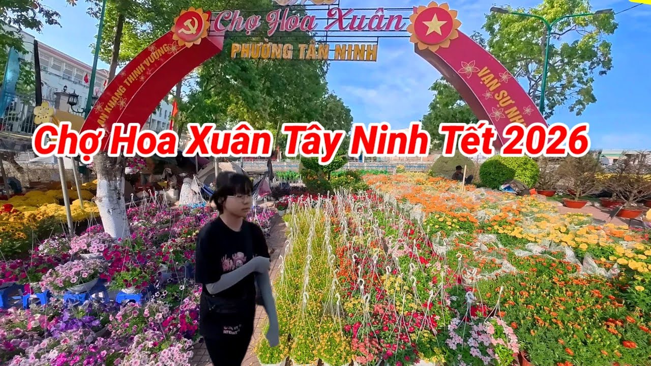 Ngày Khai Mạc Chợ Hoa Xuân Tây Ninh Tết 2026 
