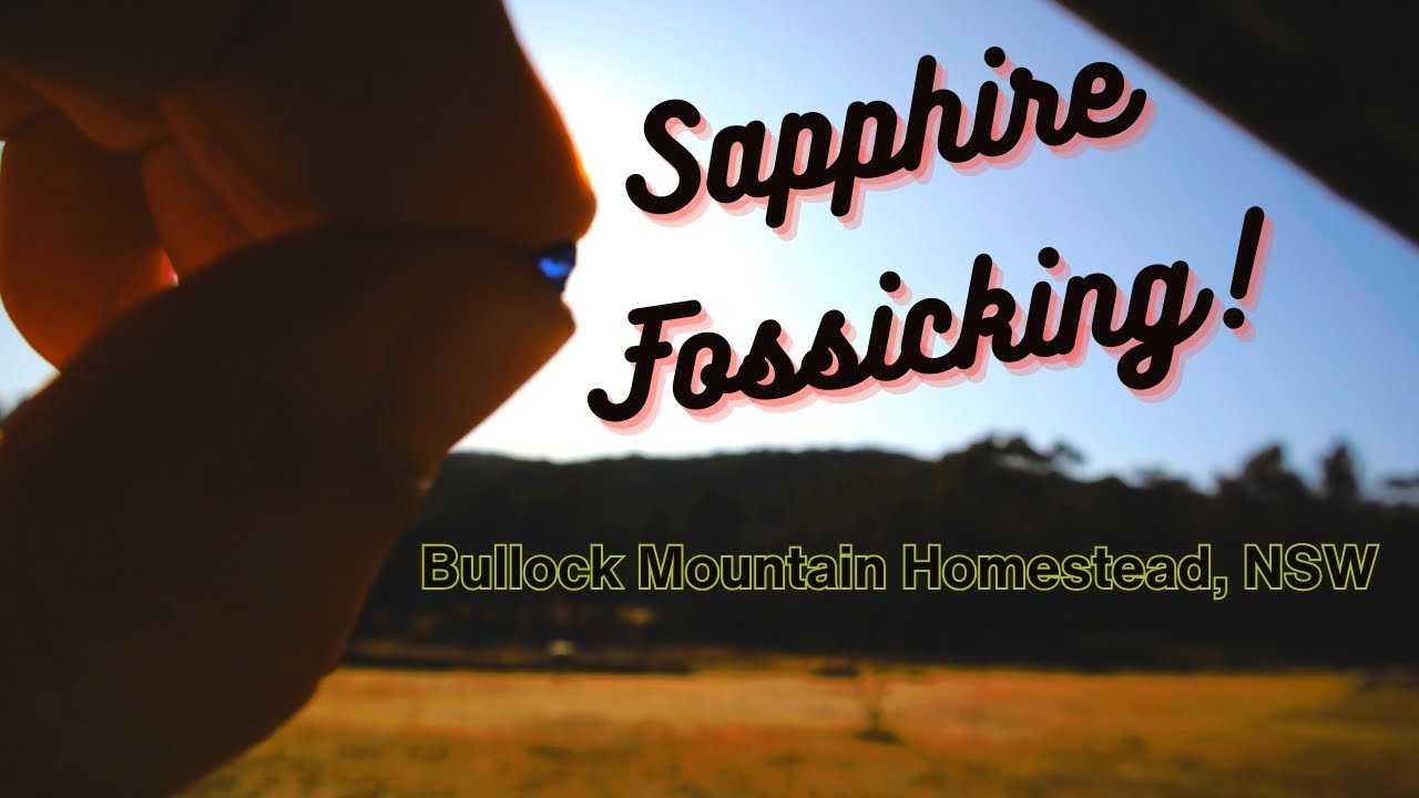 Bullock Mountain Homestead Sapphire Fossicking Travel Vlog, Glen Innes NSW Australia