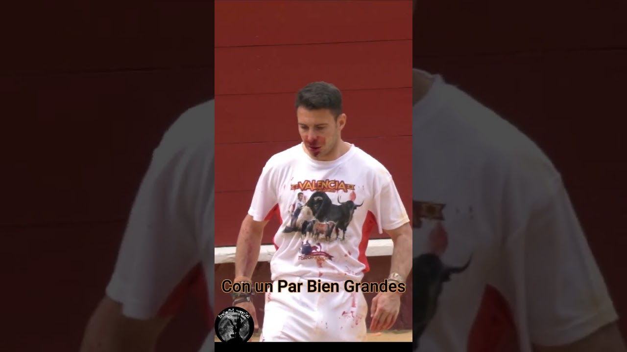 Toro da revolc&oacute;n al Peta Valencia 2023 #shorts