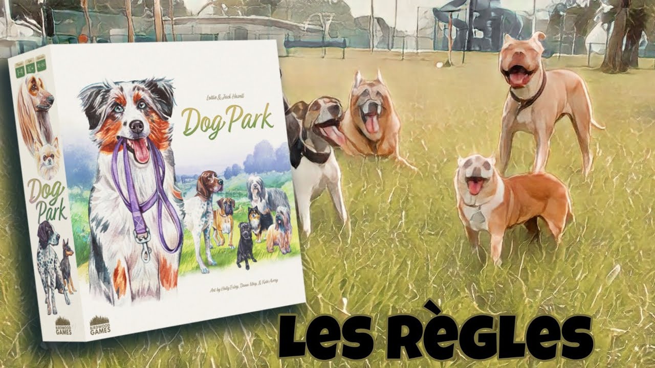 La Toile des Jeux - Dog Park 🐩🐕‍🦺🐕(les Règles)