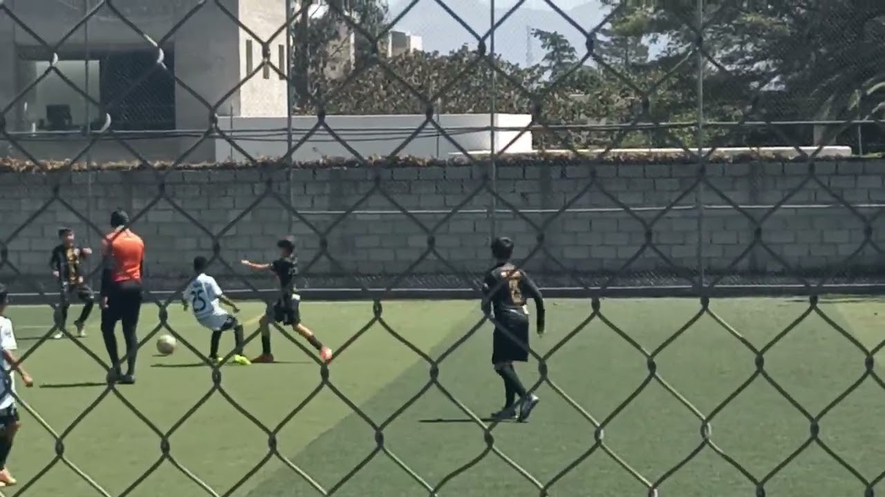 TORNEO TITANIUM kids. PROMITE