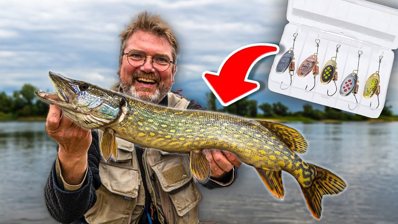 Spinner geht immer? 🎣 Angeln mit Spinner und Blinker (völlig unterschätzt)