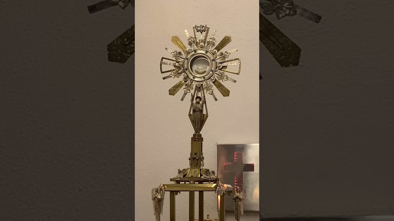 CENÁCULO DO MOVIMENTO SACERDOTAL MARIANO (MSM)