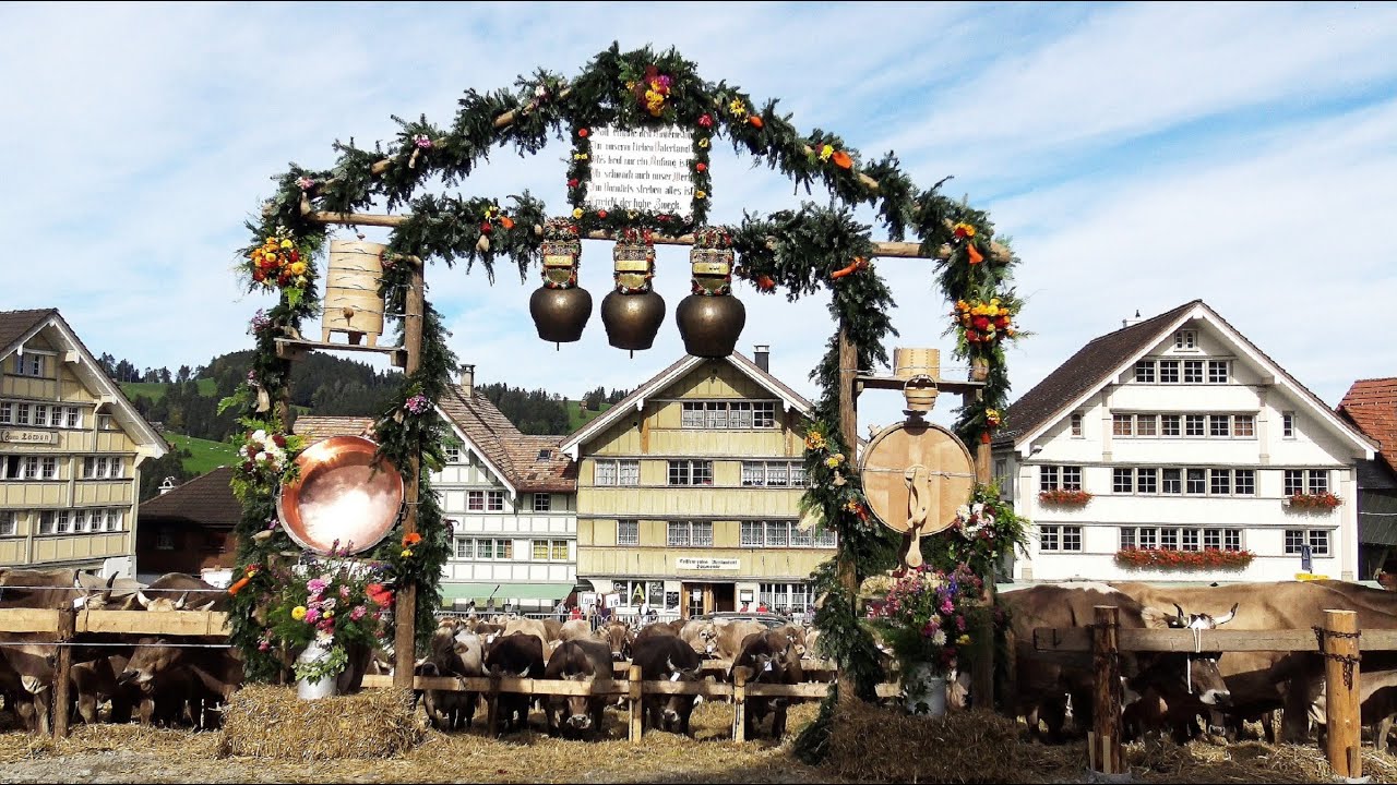 Viehschau Hundwil 2019