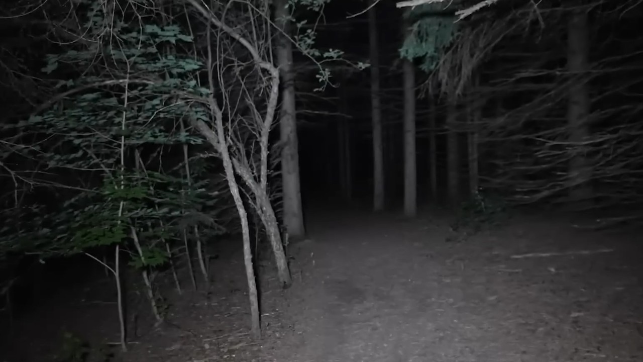 8 Verstörende Aufnahmen aus den Tiefen des Waldes