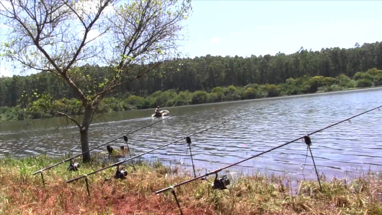 Carp fishing Africa