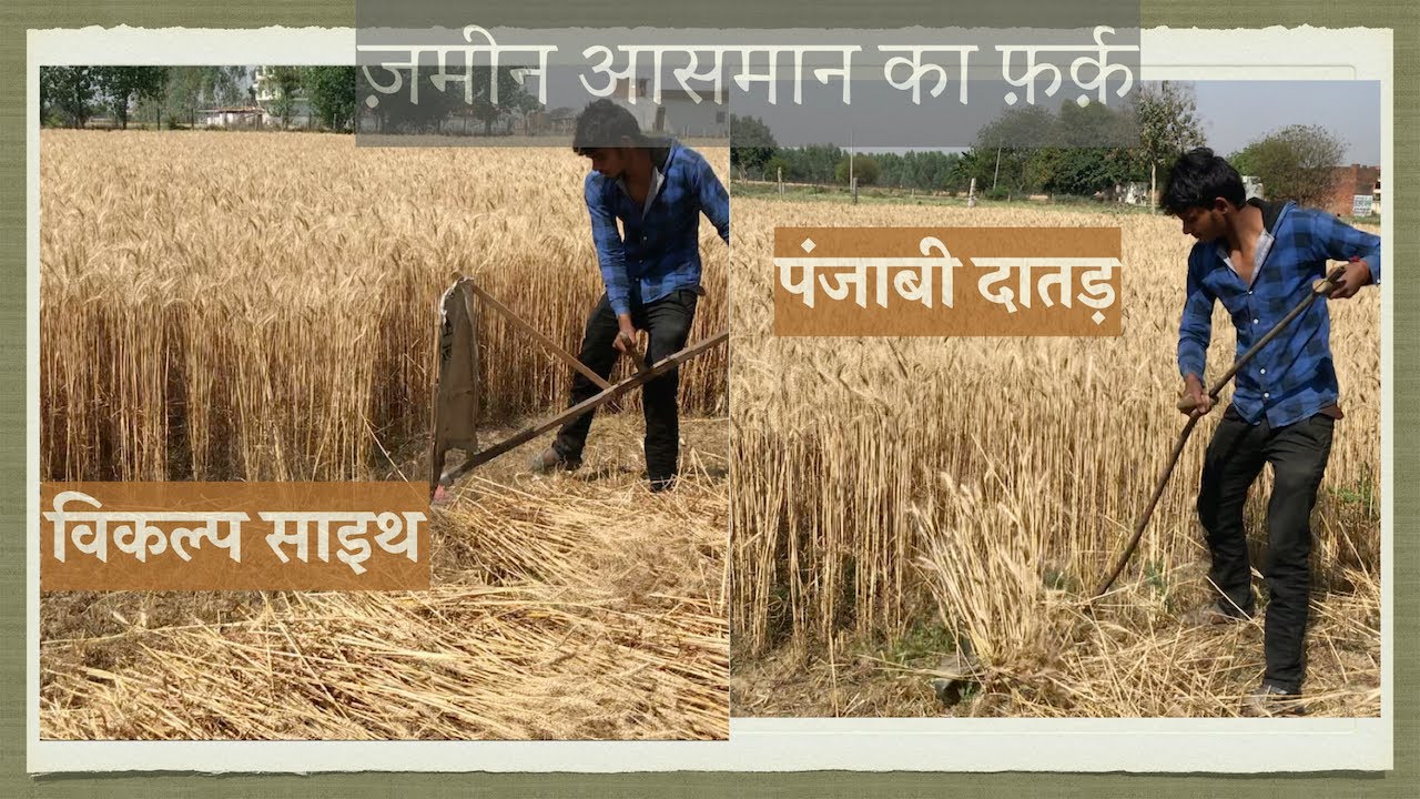 विकल्प साइथ vs पंजाबी दातड़ - ज़मीन आसमान का फ़र्क़