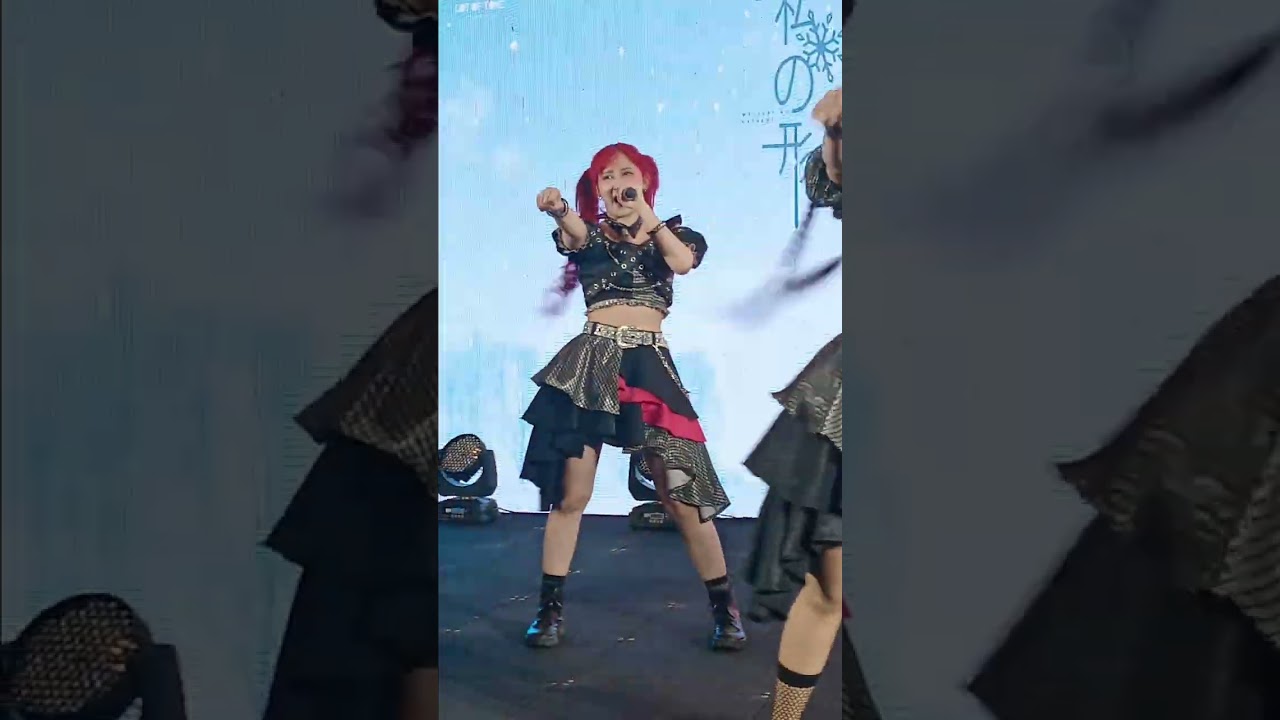 ZYN 