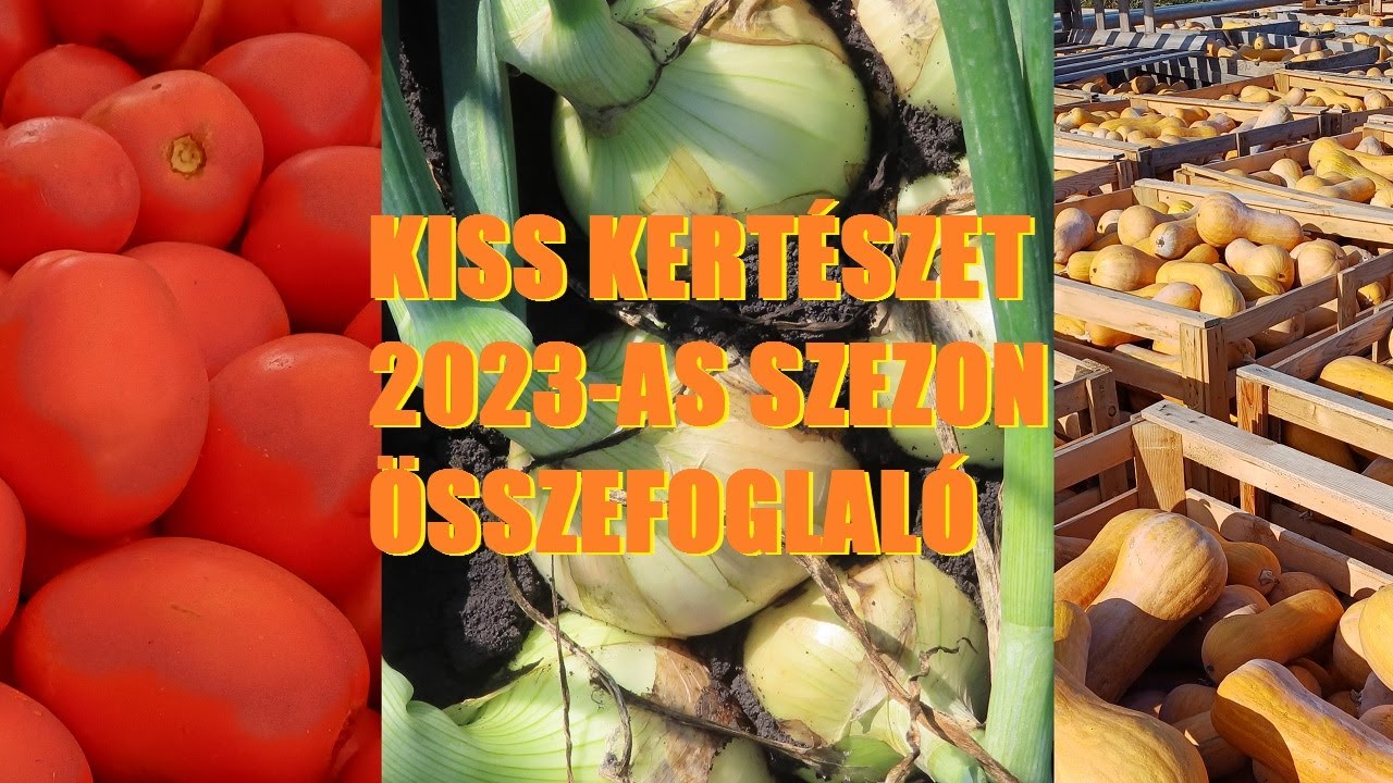 Kiss Kertészet 2023-as szezon összefoglaló