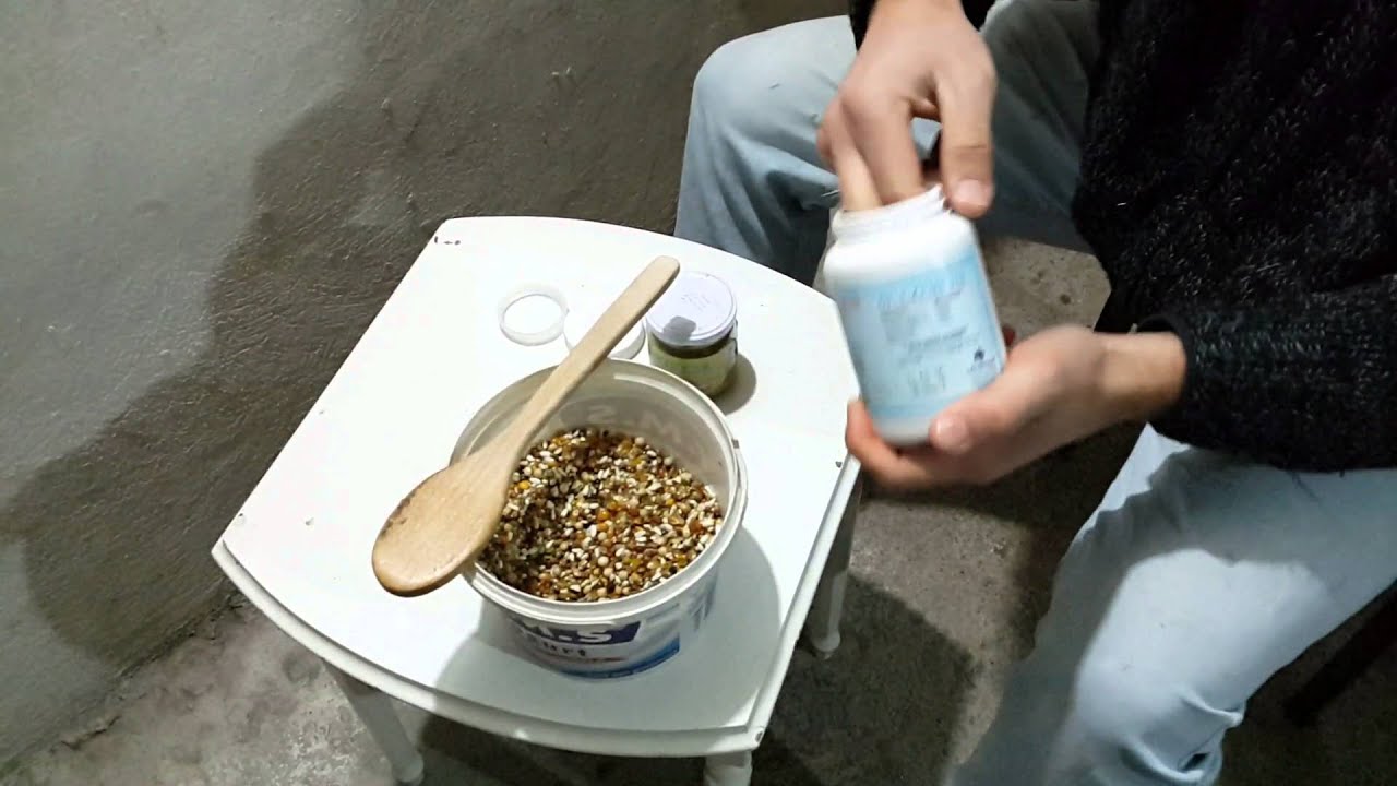 Güvercinlerde Probiyotik Kullanımı